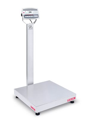 Digital Bathroom Scale with Stainless Steel Frame